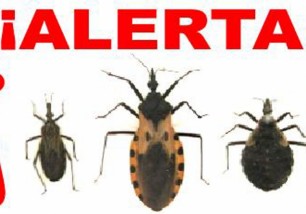 Expertos identifican alimentos que transmiten el chagas