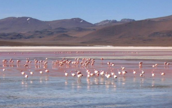 Ahora la geotermia tiene recursos asegurados por parte del Japón, Foto: Arch.