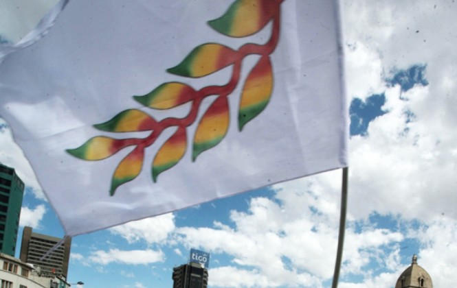 La bandera de Patujú flameó en La Paz. Foto: ANF