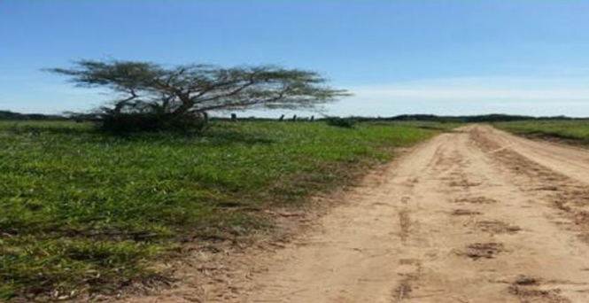 Estafa En La Compra De Tierras En Santa Cruz Otro Caso Que Implica A Pariente Del Fiscal 5385