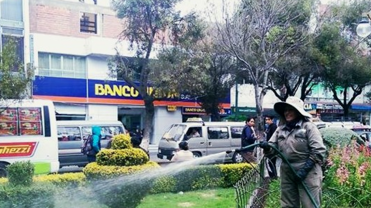 Una obrera riega las plantas del paseo de El Prado. Foto: Emaverde