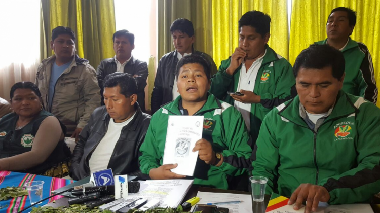 Dirigentes de los productores de coca de Yungas cuando presentaron su anteproyecto de ley de coca. Foto: ANF