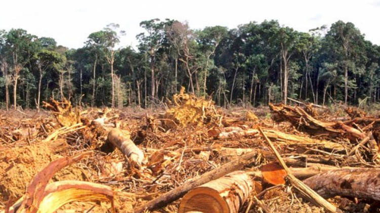 Deforestación en Bolivia. Foto: El Diario