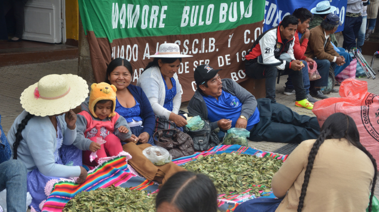 Los productores de coca celebraron el Día del Acullico en Cochabamba. Foto: ABI