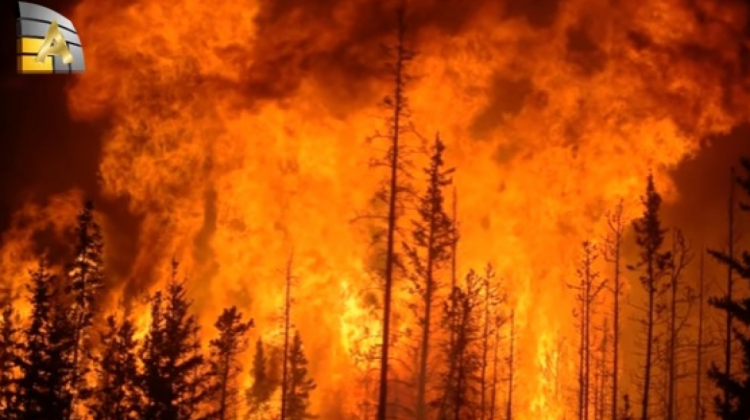 Incendios en la sexta región de Chile. Foto: Captura de pantalla