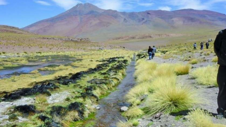 Aguas del Silala, en territorio boliviano. Foto: El Potosí