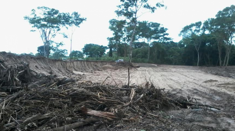 El desmonte de árboles en cercanías del río Surutú. Foto: Tomás Monasterios