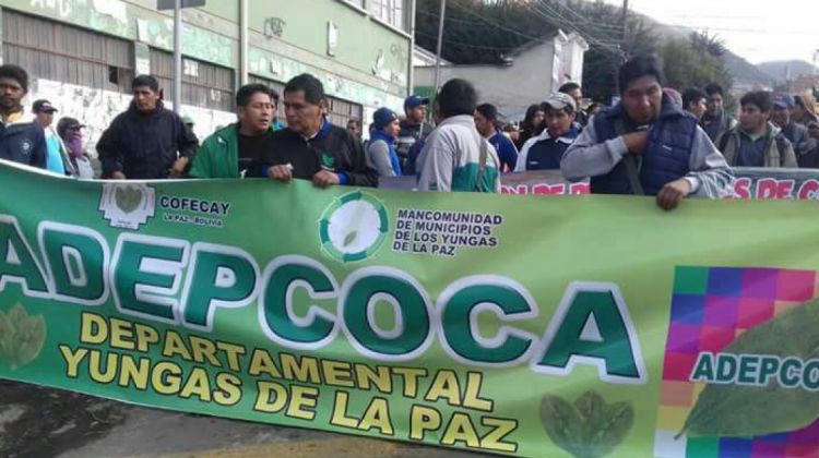 La movilización de los cocaleros de La Paz. Foto: @GrupoFides