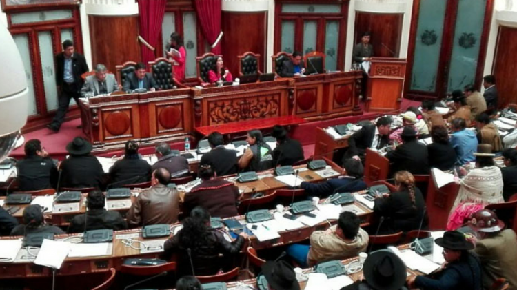 La Cámara de Diputados aprobó en grande el proyecto de ley de la coca. Foto: ANF