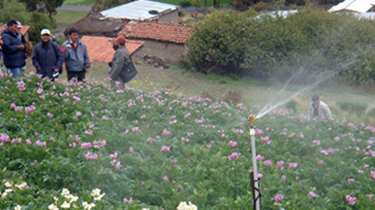 Regantes de La Paz exigen más proyectos de riego.