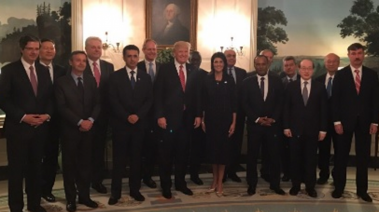 Sacha Llorenti y Donald Trump posan para la foto junto a otros miembros del Consejo de Seguridad de la ONU.  Foto: @nikkihaley
