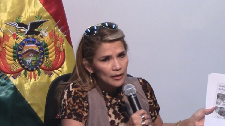Senadora Jeanine Añez (UD)