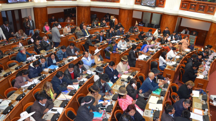 Sesión de la Asamblea Legislativa Plurinacional. Foto: @Diputados_Bol