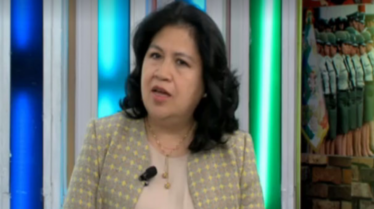 Viceministra Guadalupe Palomeque. (Captura de pantalla: Bolivia Tv)