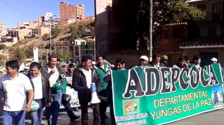 La movilización de Adepcoca en la ciudad de Sucre. Foto: ANF