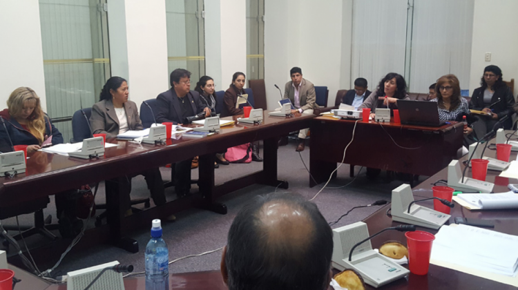 Comisión de Planificación y Política Económica de Diputados. Foto: ANF