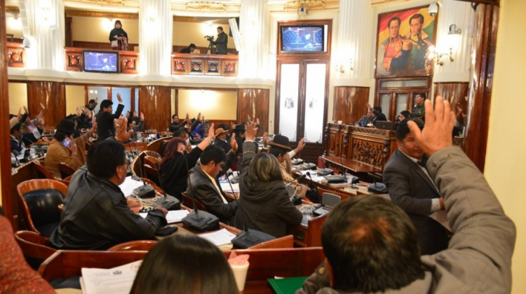 Sesión de los legisladores de la Cámara Baja. Foto: Diputados.