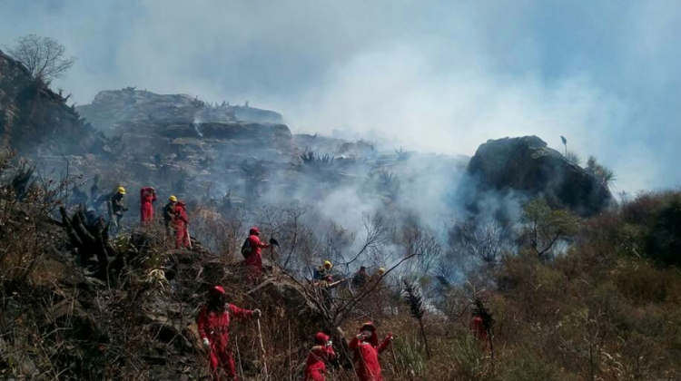 Bomberos en intenso trabajo de control del incendio. Foto: El Periódico.