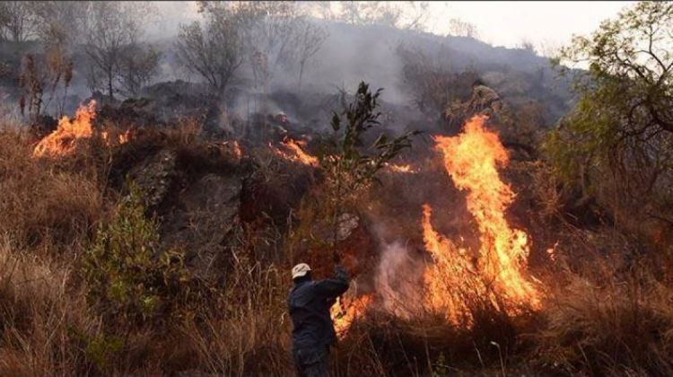 Incendio en la serranía de Sama. Foto: Ministerio de Defensa