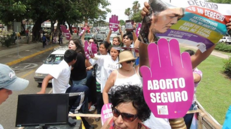 Organizaciones que alientan el aborto sin restricciones. Foto: lapublica.org.bo