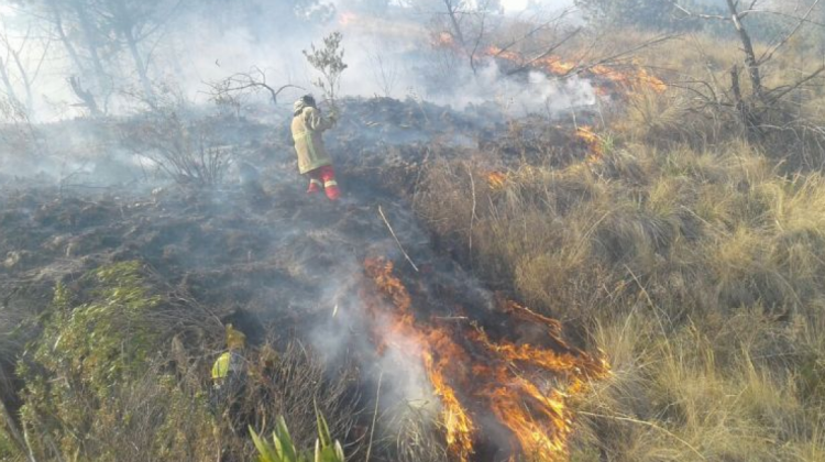 Al menos 135 hectáreas habrían sido consumidos por el fuego.  Foto: Bomberos "Nataniel Aguirre"