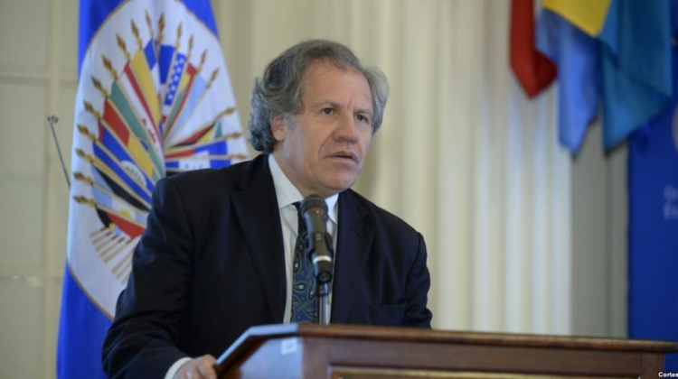 Secretario general de la Organización de Estados Americanos (OEA), Luis Almagro. Foto: OEA