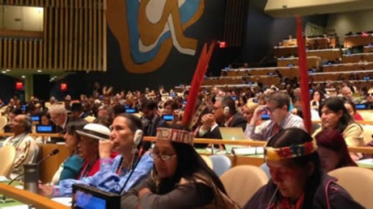 Foro Permanente para las Cuestiones Indígenas de las Naciones Unidas. Foto archivo: Consulado de Bolivia en Rosario