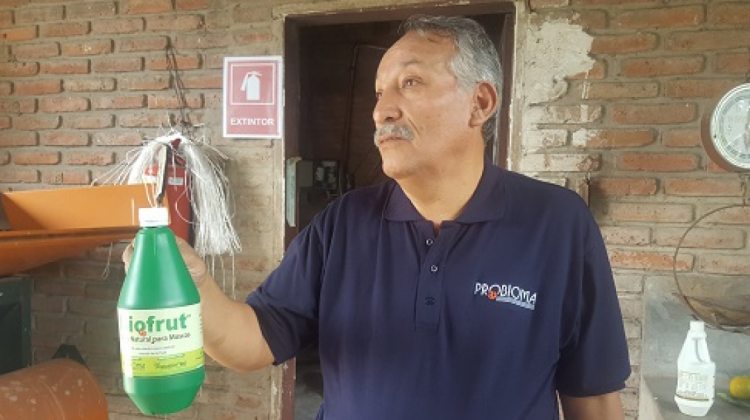 Biotecnología en Bolivia hace frente a los agroquímicos . Foto: ANF