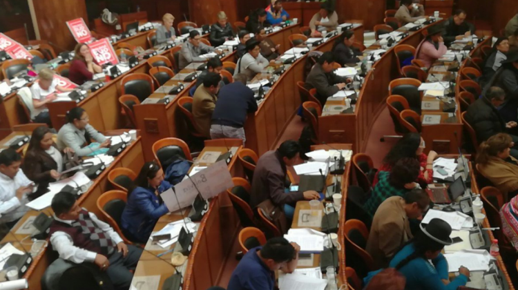 La Cámara de Diputados debate la Ley de Organizaciones Políticas. Foto: Twitter Diputados