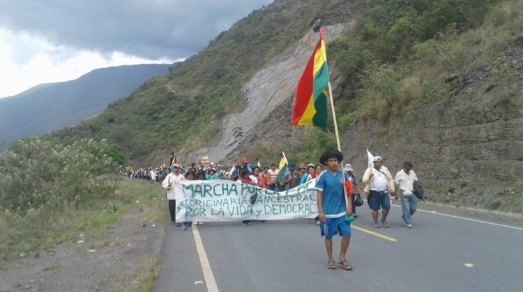 La marcha de los cocaleros continúa rumbo a La Paz.   Foto: FM Bolivia.