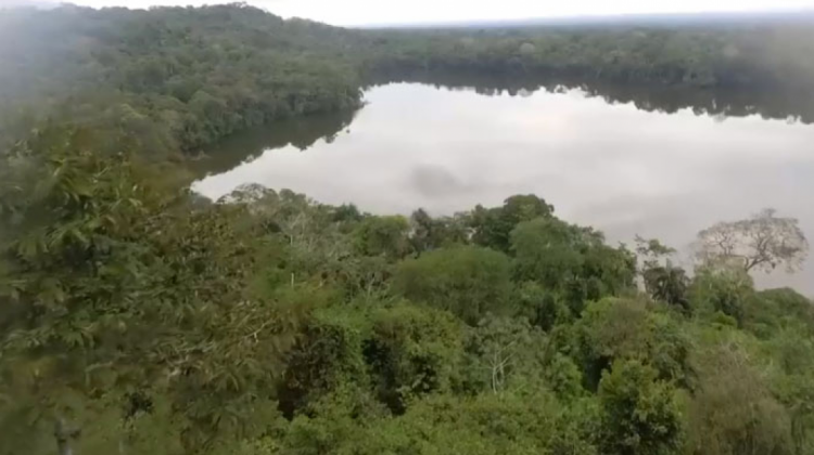 Parque Nacional Madidi. Foto: Captura video