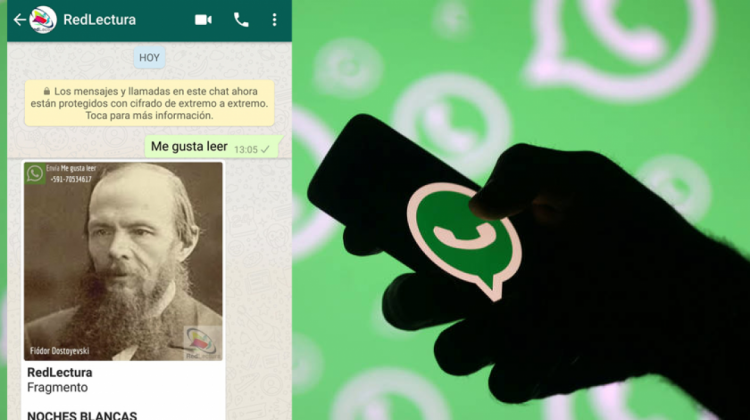 El WhatsApp es utilizado como una herramienta fundamental por RedLectura.