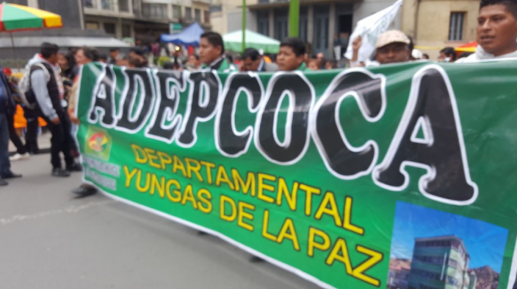Una marcha de Adepcoca. Foto: ANF    PRO