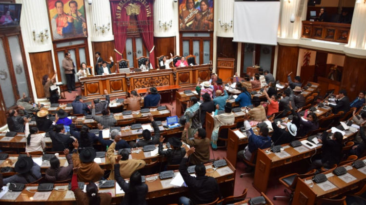 La Asamblea sesionó este viernes para aprobar la observación del Mandatario a una norma. Foto: Senado