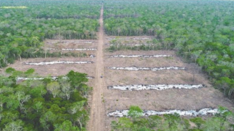 Deforestación en la reserva Tucabaca. Foto: El fulgor