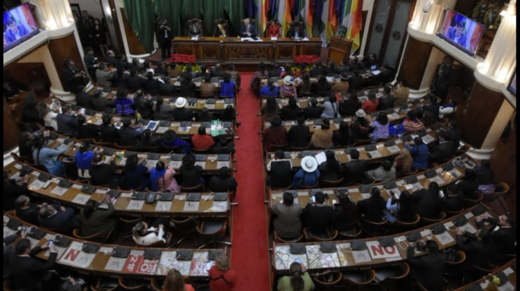 El pleno de la Asamblea Legislativa Plurinacional. Foto: Vicepresidencia.