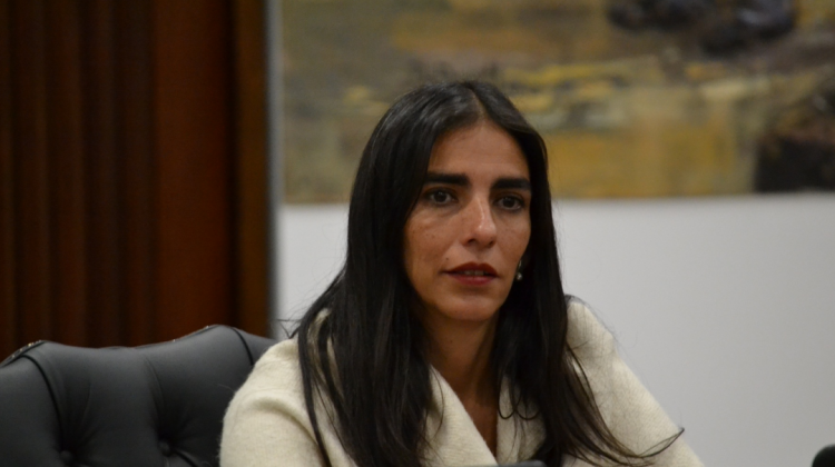 La ministra de Salud, Gabriela Montaño. Foto: ABI