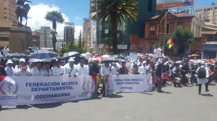 Afiliados a la Confederación Médica de Bolivia en un mitín en la plaza del Estudiante. Foto: ANF