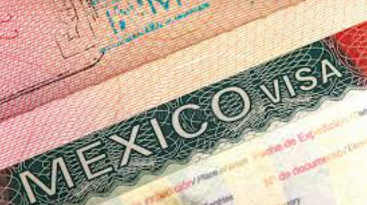 Visa mexicana. Foto: Estrategia & Negocios