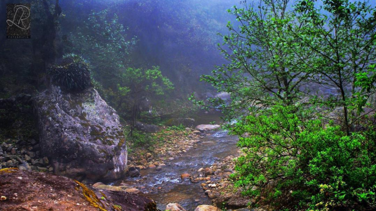 Reserva Nacional de Flora y Fauna Tariquía. Foto: Deskgram