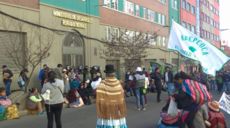 Cocaleros de Los Yungas protestaron en inmediaciones del Ministerio de Desarrollo Rural y Tierras. Foto: ANF