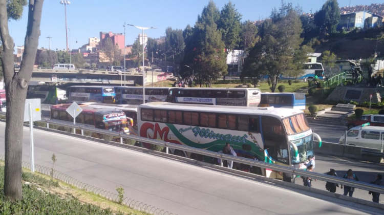 Buses concentrados debajo del puente de la avenida Perú.  Foto:ANF