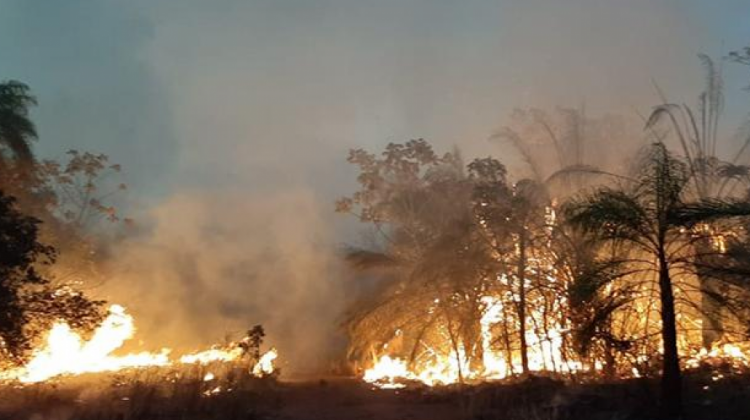 Un incendio en el municipio de Roboré. Foto: Los Tiempos.
