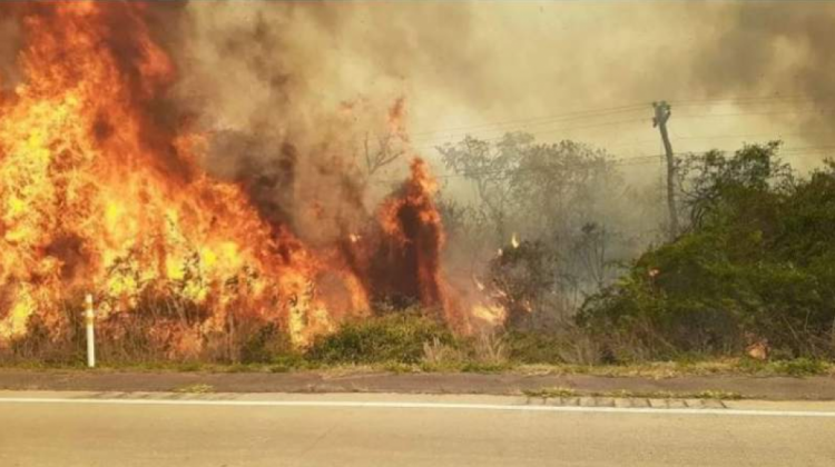 Incendio en la Chiquitanía. Foto: Página Siete