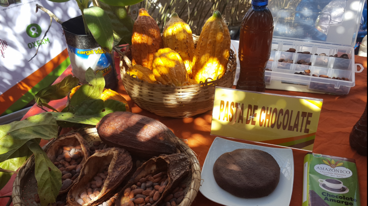 Cacao nativo de la Amazonía Boliviana y sus productos derivados.  Foto:ANF