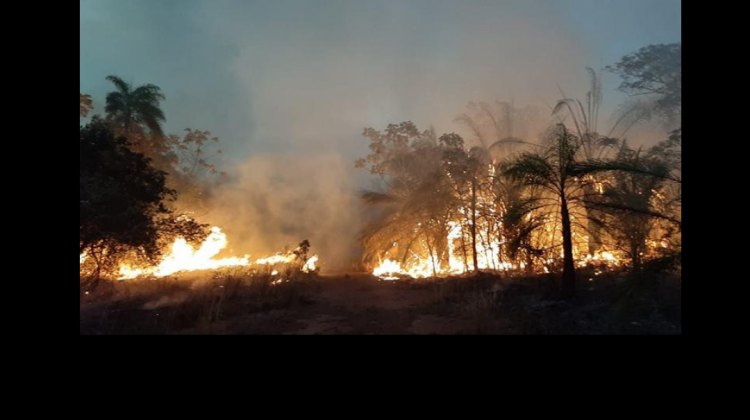 Incendio en Roboré. Foto: Agencias
