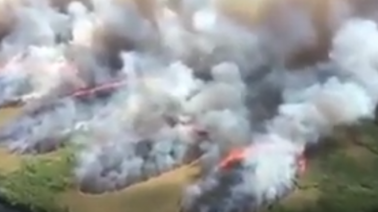 El fuego devasta miles de hectáreas en la Chiquitanía.   Foto: Captura de pantalla
