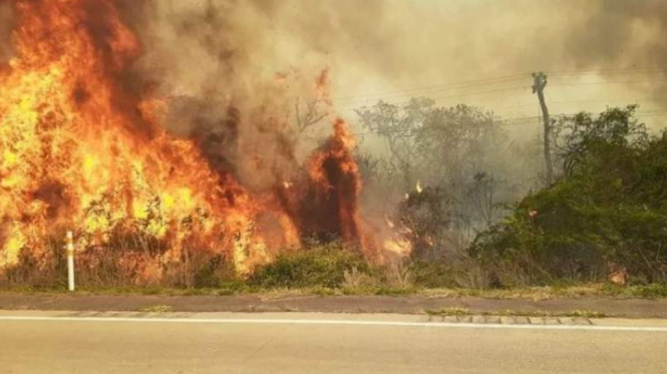 Los incendios no han cesado en la Chiquitanía. Foto: Página Siete