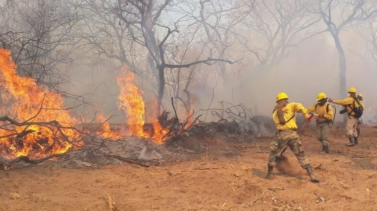 Incendios forestales en Roboré. Foto:Ministerio de Defensa