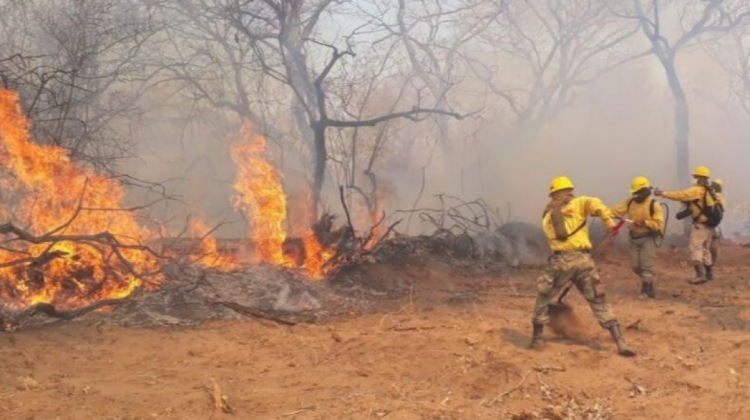 Incendios forestales todavía no fueron controlados en la Chiquitanìa. Foto: Min. Defensa